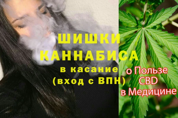ECSTASY Богородицк