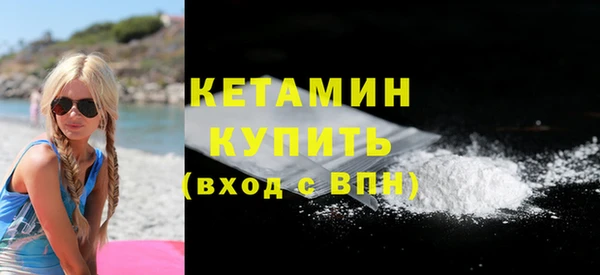 a pvp Бородино