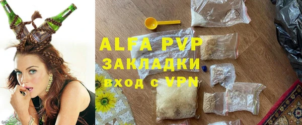 ECSTASY Богородицк