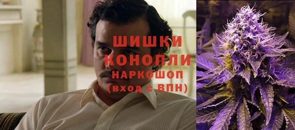 a pvp Бородино