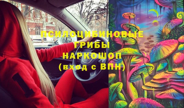 ECSTASY Богородицк