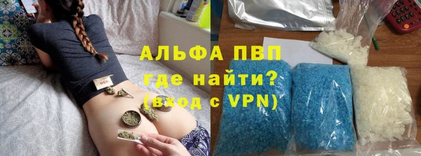 a pvp Бородино