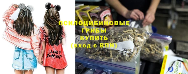 a pvp Богородск