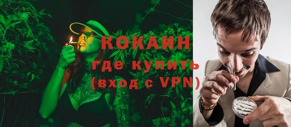 ECSTASY Богородицк