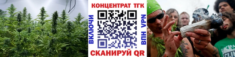 Купить закладки  Кызыл  ТГК жижа 