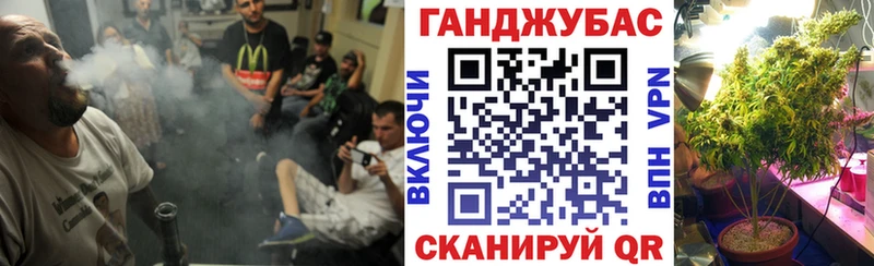 Купить где  Кызыл  Каннабис VHQ 